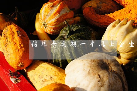 信用卡逾期一年以上会坐牢牢吗