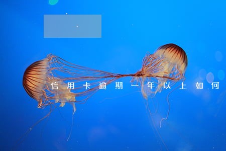 信用卡逾期一年以上如何催收 信用卡逾期一年以上如何催收