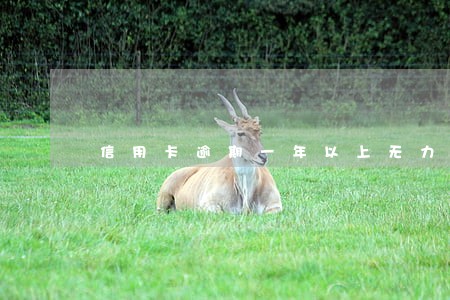 信用卡逾期一年以上无力偿还 信用卡逾期一年以上无力偿还