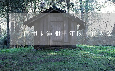 信用卡逾期一年以上的怎么处理 信用卡逾期一年以上的怎么处理