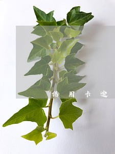 信用卡逾期一年以上的有没有 信用卡逾期一年以上的有没有