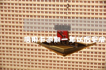 信用卡逾期一年以后买房 信用卡逾期一年以后买房