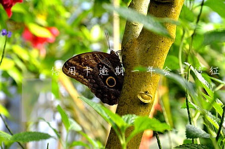信用卡逾期一年会上传征信吗