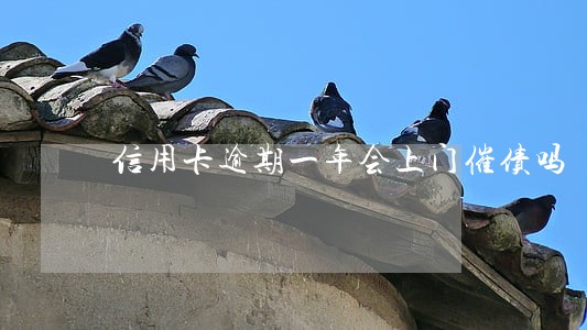 信用卡逾期一年会上门催债吗 信用卡逾期一年会上门催债吗