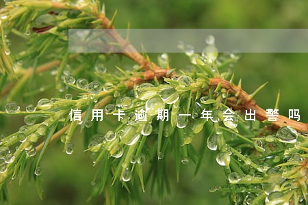 信用卡逾期一年会出警吗 信用卡逾期一年会出警吗