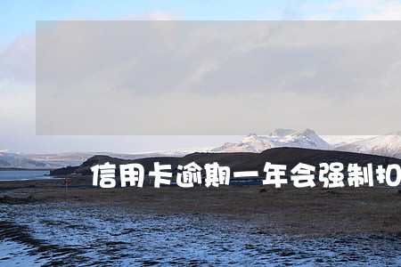 信用卡逾期一年会强制扣款吗