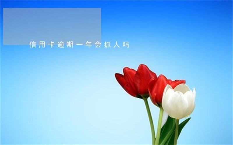信用卡逾期一年会抓人吗 信用卡逾期一年会抓人吗