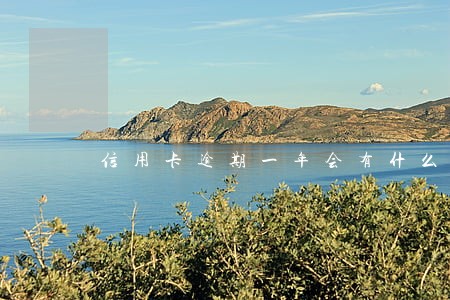 信用卡逾期一年会有什么责任 信用卡逾期一年会有什么责任