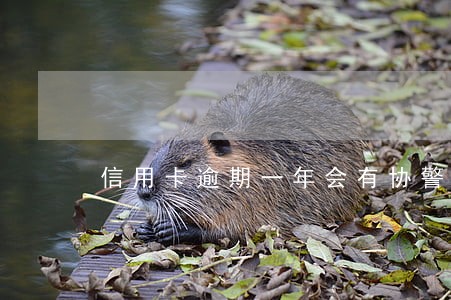 信用卡逾期一年会有协警上门吗 信用卡逾期一年会有协警上门吗