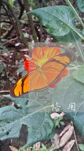 信用卡逾期一年会联系亲戚吗 信用卡逾期一年会联系亲戚吗