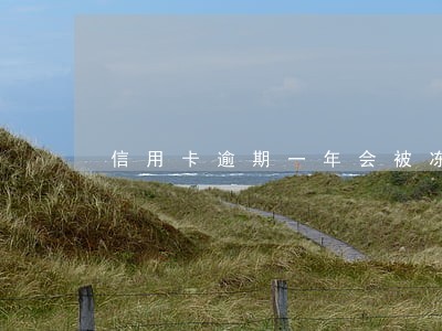 信用卡逾期一年会被冻结嘛 信用卡逾期一年会被冻结嘛
