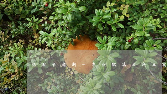 信用卡逾期一年会被派出所立案吗 信用卡逾期一年会被派出所立案吗