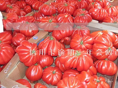 信用卡逾期一年会调查取证吗 信用卡逾期一年会调查取证吗