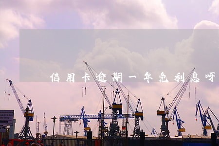 信用卡逾期一年免利息呀