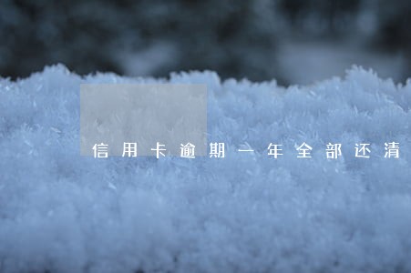 信用卡逾期一年全部还清 信用卡逾期一年全部还清
