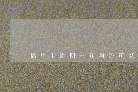 信用卡逾期一年再还可以吗 信用卡逾期一年再还可以吗