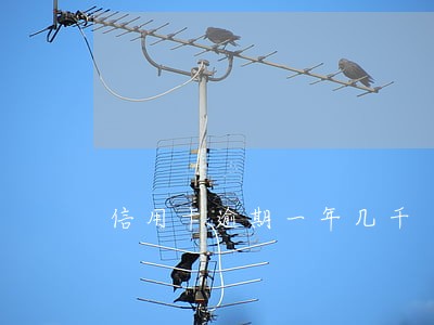 信用卡逾期一年几千 信用卡逾期一年几千