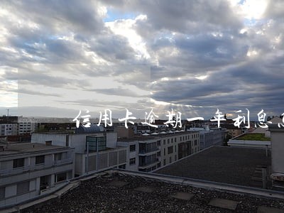 信用卡逾期一年利息怎么算的 信用卡逾期一年利息怎么算的