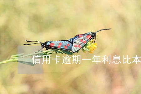 信用卡逾期一年利息比本金多 信用卡逾期一年利息比本金多