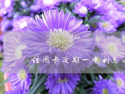信用卡逾期一年利息违约金
