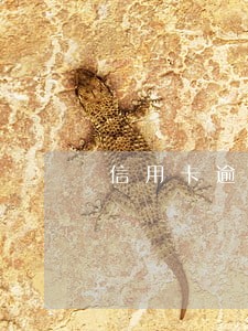 信用卡逾期一年半会上门吗 信用卡逾期一年半会上门吗