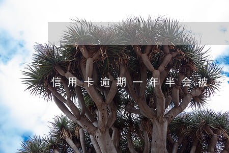 信用卡逾期一年半会被起诉吗 信用卡逾期一年半会被起诉吗