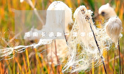 信用卡逾期一年半后