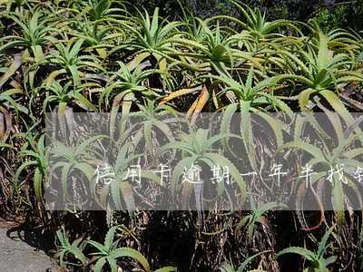 信用卡逾期一年半找银行协商 信用卡逾期一年半找银行协商