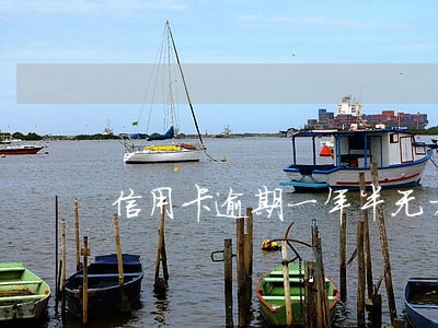 信用卡逾期一年半无力偿还