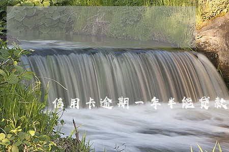 信用卡逾期一年半能贷款吗 信用卡逾期一年半能贷款吗