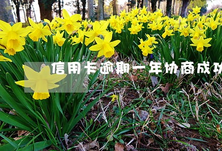 信用卡逾期一年协商成功 信用卡逾期一年协商成功