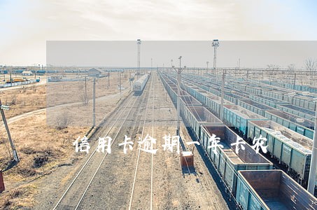 信用卡逾期一年卡农 信用卡逾期一年卡农