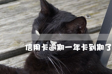 信用卡逾期一年卡到期了
