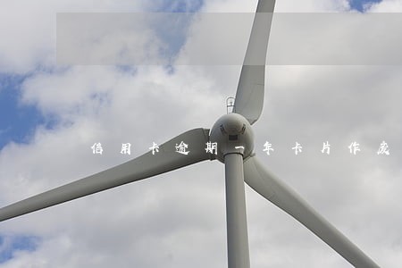 信用卡逾期一年卡片作废了