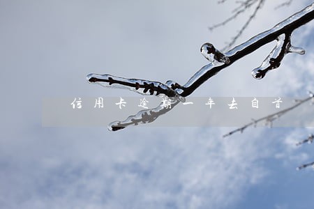 信用卡逾期一年去自首 信用卡逾期一年去自首