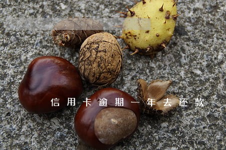 信用卡逾期一年去还款 信用卡逾期一年去还款