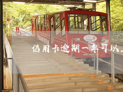 信用卡逾期一年可以上征信吗