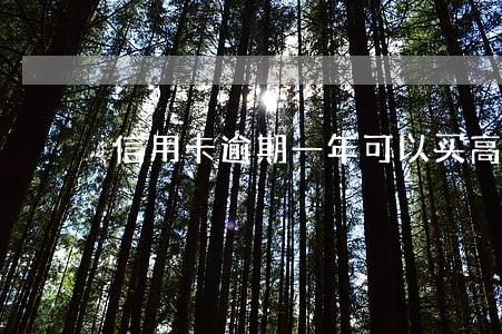 信用卡逾期一年可以买高铁吗