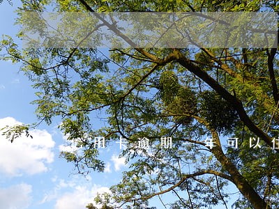 信用卡逾期一年可以住宿吗 信用卡逾期一年可以住宿吗