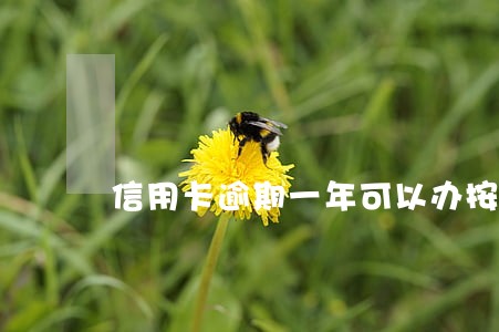 信用卡逾期一年可以办按揭吗