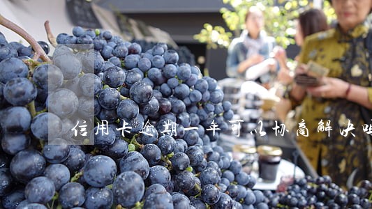 信用卡逾期一年可以协商解决吗
