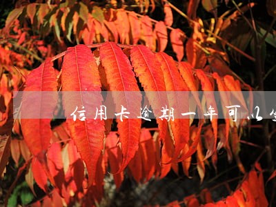信用卡逾期一年可以坐飞机么 信用卡逾期一年可以坐飞机么