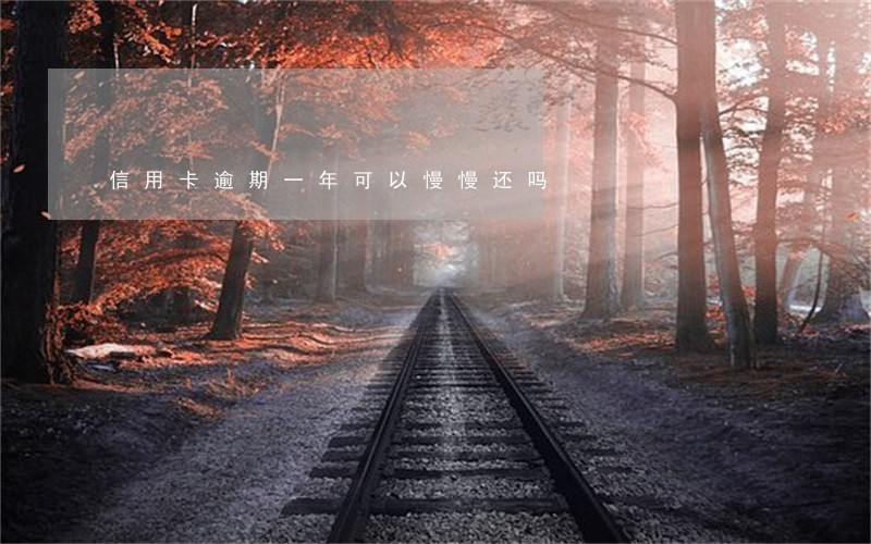 信用卡逾期一年可以慢慢还吗 信用卡逾期一年可以慢慢还吗