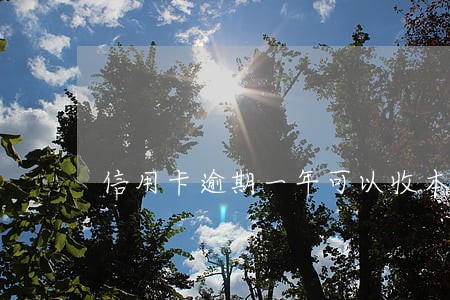 信用卡逾期一年可以收本金吗