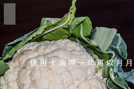 信用卡逾期一年可以月月还吗