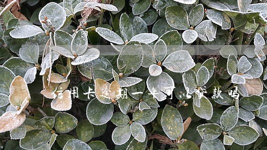 信用卡逾期一年可以贷款吗 信用卡逾期一年可以贷款吗