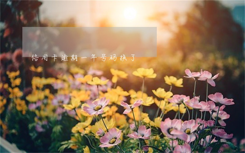 信用卡逾期一年号码换了 信用卡逾期一年号码换了