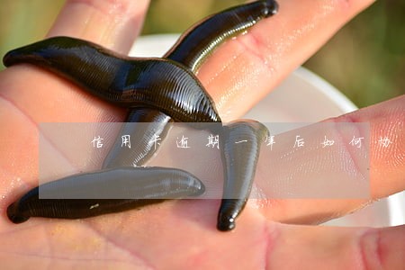 信用卡逾期一年后如何协商