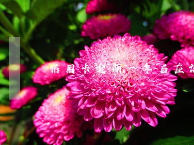 信用卡逾期一年后应该怎么还款 信用卡逾期一年后应该怎么还款