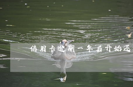 信用卡逾期一年后开始还钱 信用卡逾期一年后开始还钱